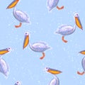 Watercolor blue navy hand drawn pelican seamless pattern