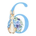 Watercolor blue number 6 with peter rabbit