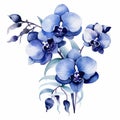 Watercolor Orchid Flowers: Elegant Realism In Indigo Blue Hues Royalty Free Stock Photo