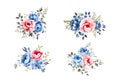 Watercolor blue and pink flowers set, vintage vector flowers collection. Royalty Free Stock Photo