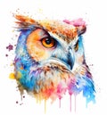 Watercolor blue pink orange owl face, vibrant colorful painting. Realistic bird illustration. Created with Generative AI Royalty Free Stock Photo