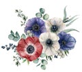 Watercolor blue, red and white anemone bouquet. Hand painted colorul flowers, brunia and privet berry, eucalyptus leaves Royalty Free Stock Photo