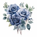 Watercolor Blue Rose Cluster Illustration With Romantic And Elegant Motifs Royalty Free Stock Photo