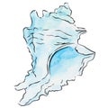 Watercolor blue seashell