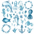 Watercolor blue set with octopus, dolphin, narwhal, squid, seahorse, fish, corals, seashells, algae