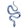Watercolor blue snake illustration