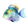 Watercolor blue and teal coral fish