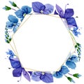 Watercolor blue Veronica flower. Floral botanical flower. Frame border ornament square.