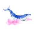 Watercolor blue whale Royalty Free Stock Photo