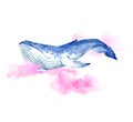 Watercolor blue whale