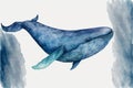 Watercolor blue whale illustration isolated on white background. Hand-painted Royalty Free Stock Photo