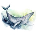 Watercolor blue whale. Underwater animal illustration isolated on white background. For design, prints or background.