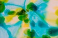 Watercolor with blue, yellow and green. Spring colors. Royalty Free Stock Photo