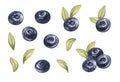 Watercolor blueberries Clipart. Juice and fresh ripe berries set. Sweet summer food. hand drawn illustration isolated Royalty Free Stock Photo