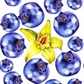 Watercolor blueberries pattern on white background