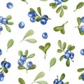 Watercolor blueberries seamless pattern