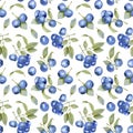 Watercolor blueberries seamless pattern