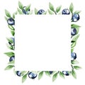 Watercolor ripe blueberry leaves frame