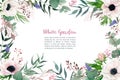 Watercolor blush pink anemones, frame, hand drawn vector