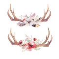 Watercolor bohemian deer horns. Western mammals. Watercolour hip Royalty Free Stock Photo