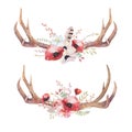 Watercolor bohemian deer horns. Western mammals. Watercolour hip Royalty Free Stock Photo