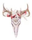 Watercolor bohemian deer skull. Western mammals. Watercolour d