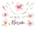 Watercolor boho blossom flower set. Spring or summer decoration