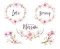 Watercolor boho blossom flower set. Spring or summer decoration