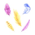 Watercolor boho feather illustrations. Easter clip art set, isolated on white background