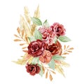 Watercolor boho red flowers bouquets. Pampas grass and burgundy rose, peonies. Rich floral, branches, leaves, foliage. Royalty Free Stock Photo