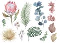 Watercolor boho set of dried flowers to create patterns and bouquets for textiles