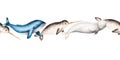 Watercolor border with beluga, blue whale and narwhal isolated on white background. Hand painting realistic Arctic and