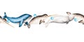 Watercolor border with beluga, blue whale and narwhal isolated on white background. Hand painting realistic Arctic and