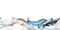 Watercolor border with beluga, blue whale and narwhal isolated on white background. Hand painting realistic Arctic and