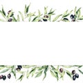 Watercolor border with black olive berries and branch. Hand painted botanical banner with olives isolated on white Royalty Free Stock Photo