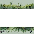 Watercolor border with black olive branch and berries. Hand painted botanical banner with olives isolated on white Royalty Free Stock Photo