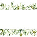 Watercolor border with green olive berries and branch. Hand painted botanical banner with olives isolated on white Royalty Free Stock Photo