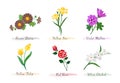 Watercolor botanic garden nature plant flower daisy iris violet mallow tulip rose orchid