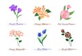 Watercolor botanic garden nature plant flower freesia hibiscus evening primrose honeysuckle tulip rose