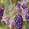 Watercolor botanic garden plant fruit puple grape and leaf vine seamless pattern background created with generative AI technology