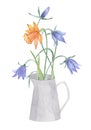 Watercolor botanical collection wild flowers in watering can and jug. Hand drawn flowers, Campanulaceae, herbs and