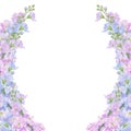 Watercolor botanical colourful frame of preety garden flowers: blue and lilac gillyflower and pink lathyrus. Good for