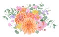 Watercolor botanical colourful illustration of summer and autumn flowers: dahlia, zinnia, lathyrus, gillyflower