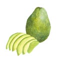 Watercolor botanical illustration of avocado hass and cutted avocado , isolated