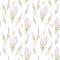 Watercolor botanical illustration. Botany seamless pattern with lavender violet flowers. Floral blossom. Perfect for packing,