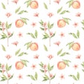 Watercolor botanical illustration. Botany seamless pattern with Peach fruit, pink flowers and leaves. Floral blossom . Perfect for Royalty Free Stock Photo