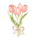 Watercolor botanical illustration. Happy Easter! Spring tulips bouquet. Pink flowers collection. Perfect for invitations, greeting Royalty Free Stock Photo