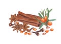 Watercolor botanical illustration of sea buckthorn, cinnamons, pine needles, cloves isolated on white background. Set for the