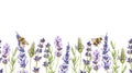Watercolor botanical illustration. Seamless banner with purple lavender wildflowers and bumblebees. Fragrant field herb Royalty Free Stock Photo