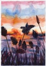 Watercolor illustration sunset evening ears spikes flowers violet purple red blue colors
